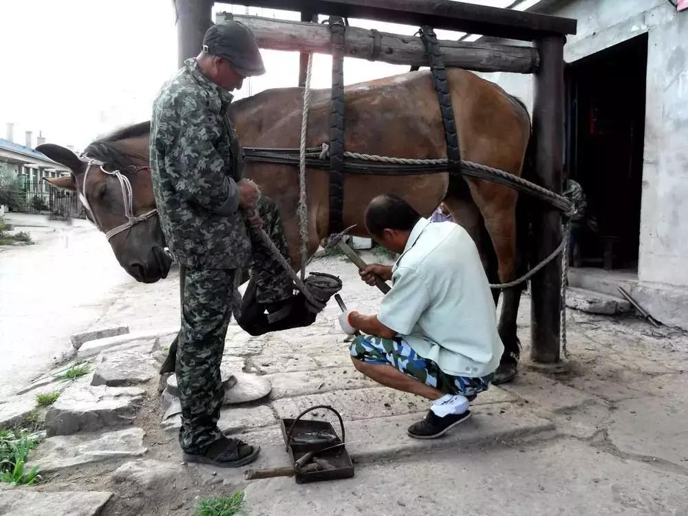 宋朝那么厉害为什么还会被打掉,宋朝历史真的很强吗
