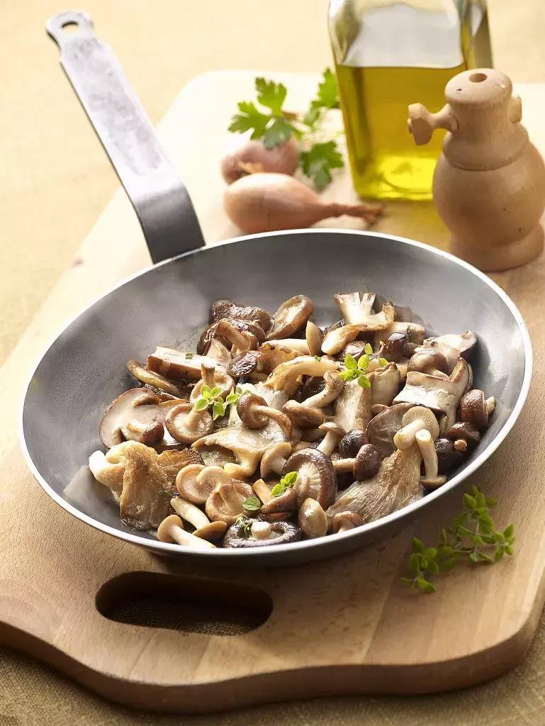 气不足则胖是什么原因,气血不足怎么办