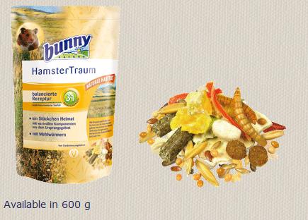 金丝熊饲养手册小短片,怎么在学校饲养金丝熊