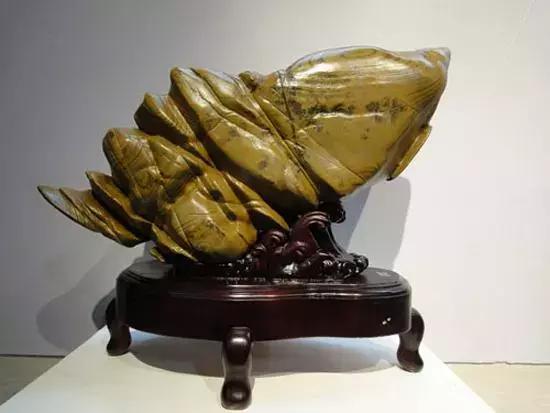 80种中国奇石让你认石不难,奇石种类一览表图解