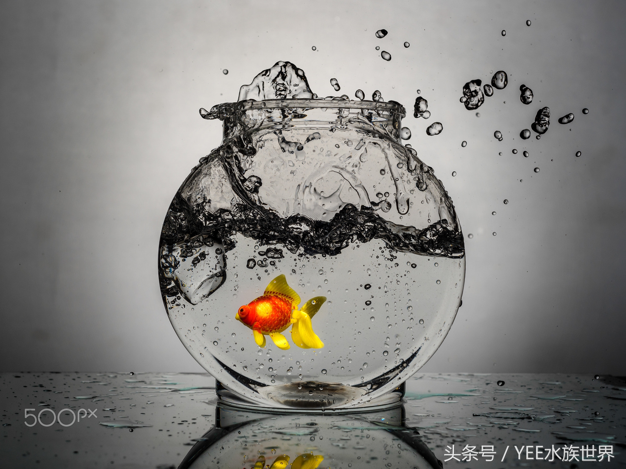 水发白硝化细菌崩溃需要加么,鱼缸硝化细菌崩溃几天能恢复