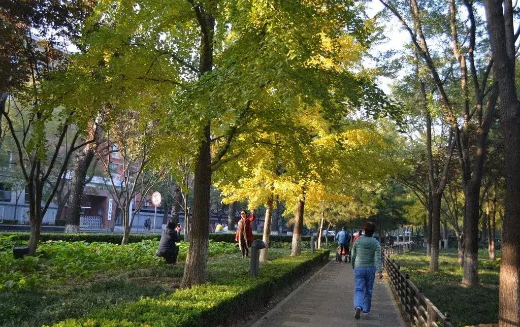 北京公园秋景最佳去处,北京赏秋公园推荐排行榜