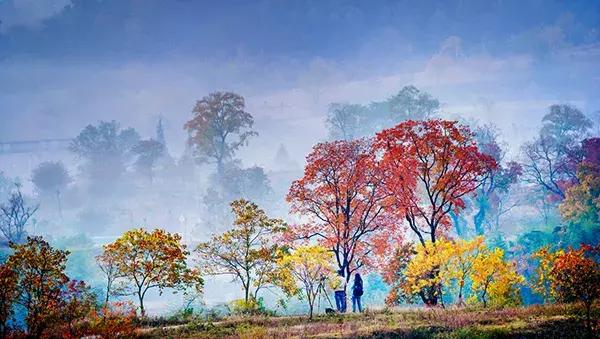 大悟,一个和婺源相媲美的地方,等了一整年的最红秋色终于来了!