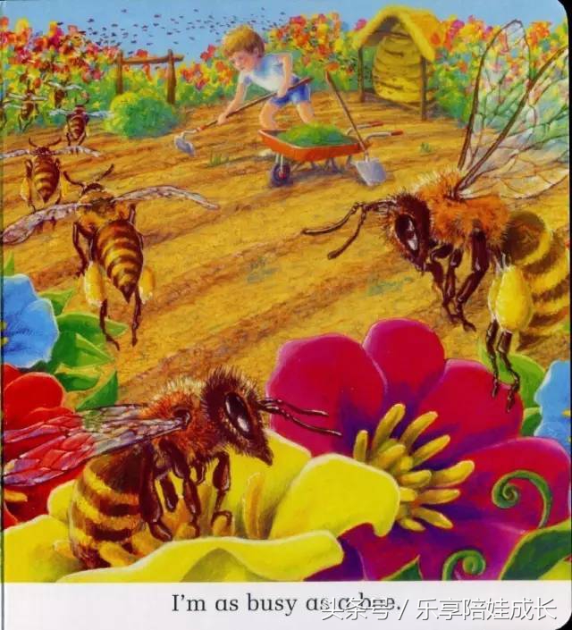 quickasacricket翻译,绘本磨耳朵故事视频