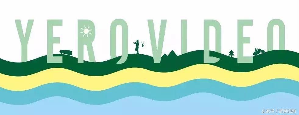 食物是世界上最好的语言,食物是最美味的用英语怎么说