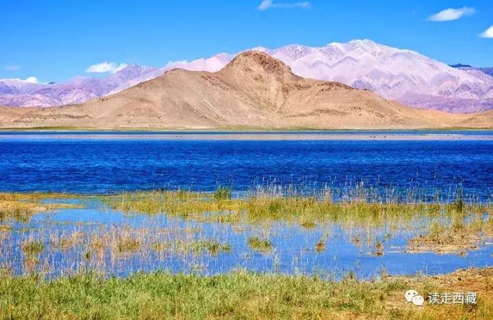 离拉萨最近的阿里,阿里是离天堂最近的地方