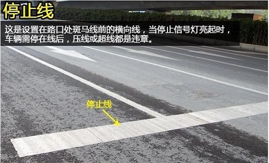 你知道哪些常见的道路交通标志,交通标志线知识大全