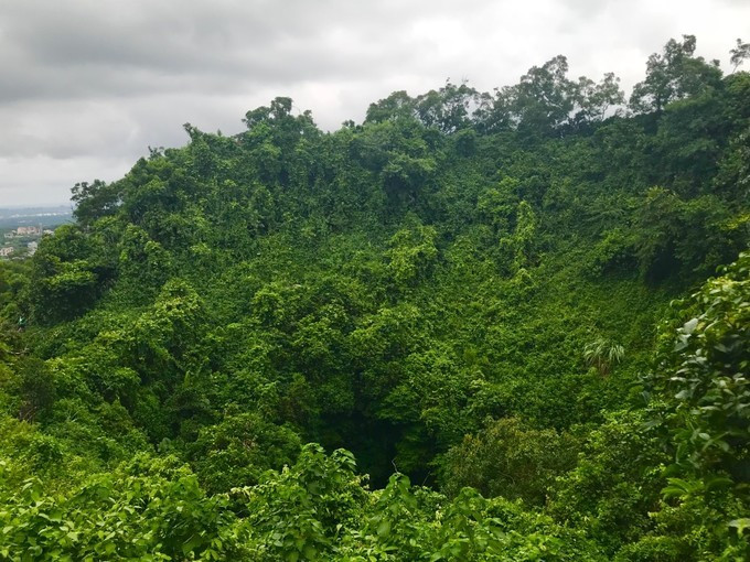 海口的特色美食有哪些,海口有哪些特色美食