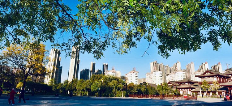 秋到上阳宫，黄叶蓝天高宫阙，皇帝都赞的美景，免费你都没去看？