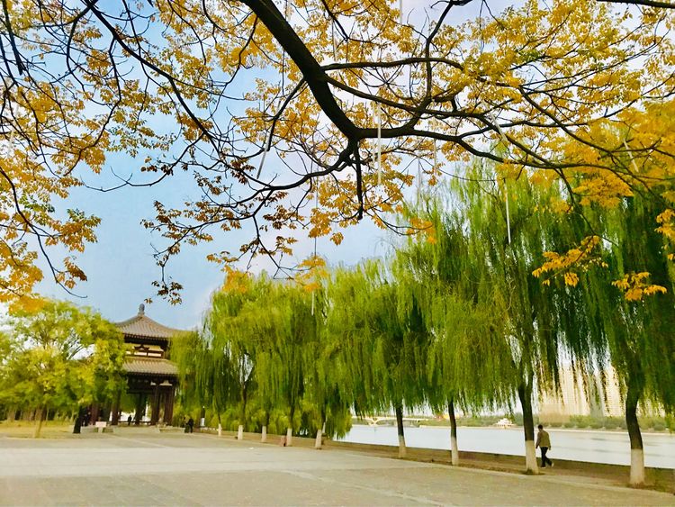 秋到上阳宫，黄叶蓝天高宫阙，皇帝都赞的美景，免费你都没去看？