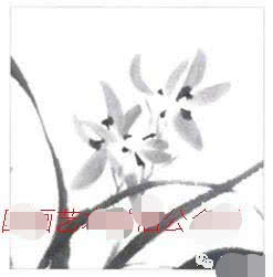 写意兰花的基本画法视频,写意兰花的画法技法视频