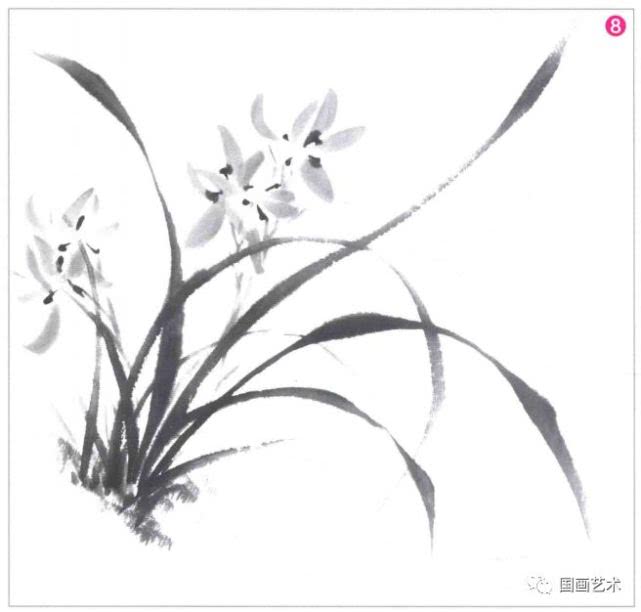 写意兰花的基本画法视频,写意兰花的画法技法视频