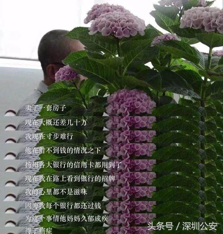 禁毒知识知多少答案,禁毒富翁