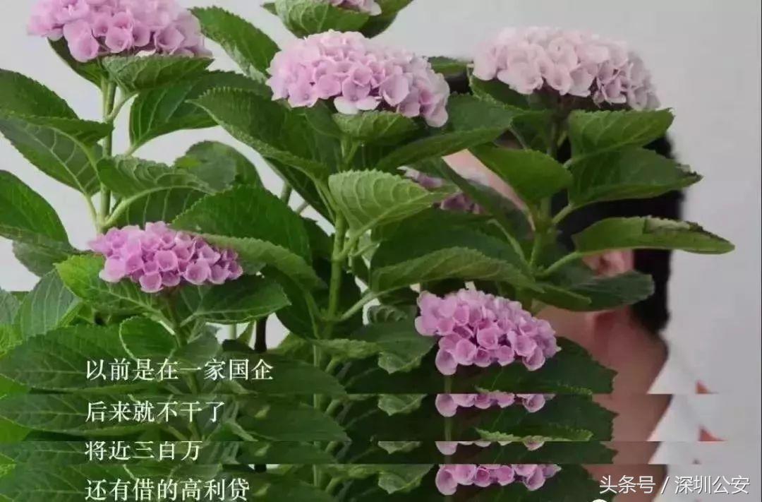 禁毒知识知多少答案,禁毒富翁