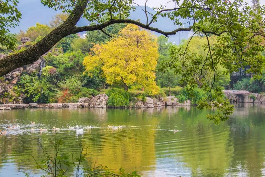 娴欐睙鍙板窞瀹濊棌鐢峰,鍙板窞瀹濊棌鐢风敓