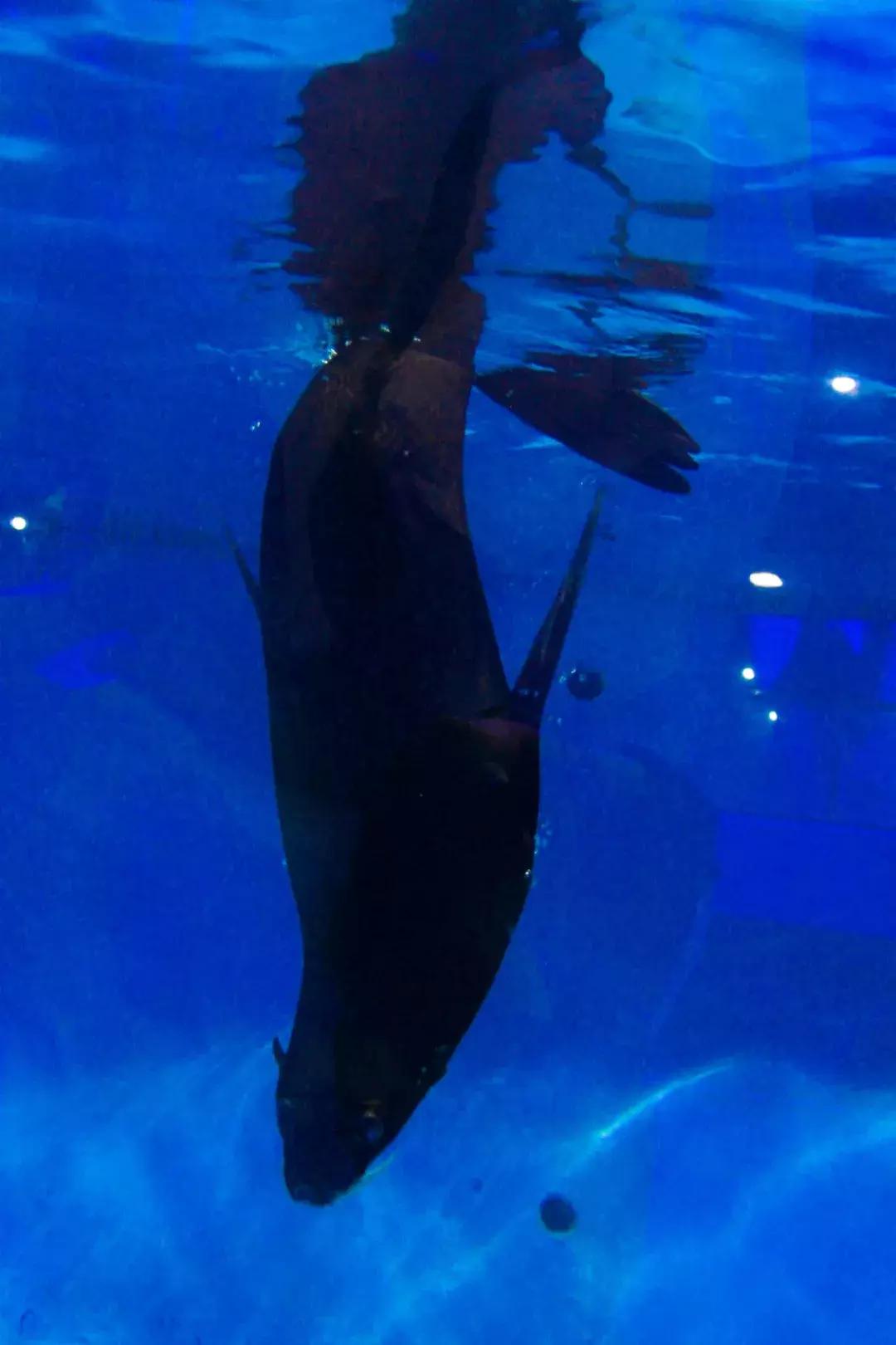 娴欐睙鍙板窞瀹濊棌鐢峰,鍙板窞瀹濊棌鐢风敓