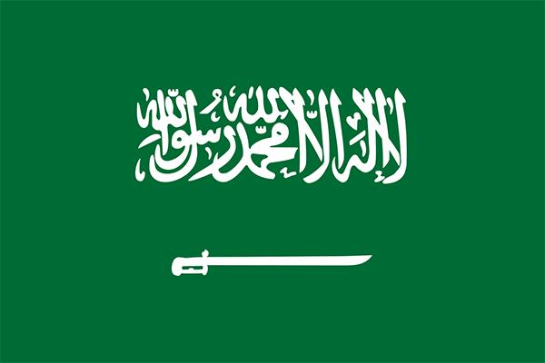 沙特当局被曝对活动人士施电刑鞭打,强迫女性被羁押者互相亲吻