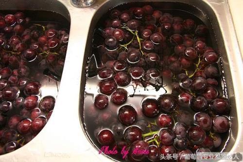 怎样自制葡萄酒酿出来的好喝,专业自酿葡萄酒的制作全过程