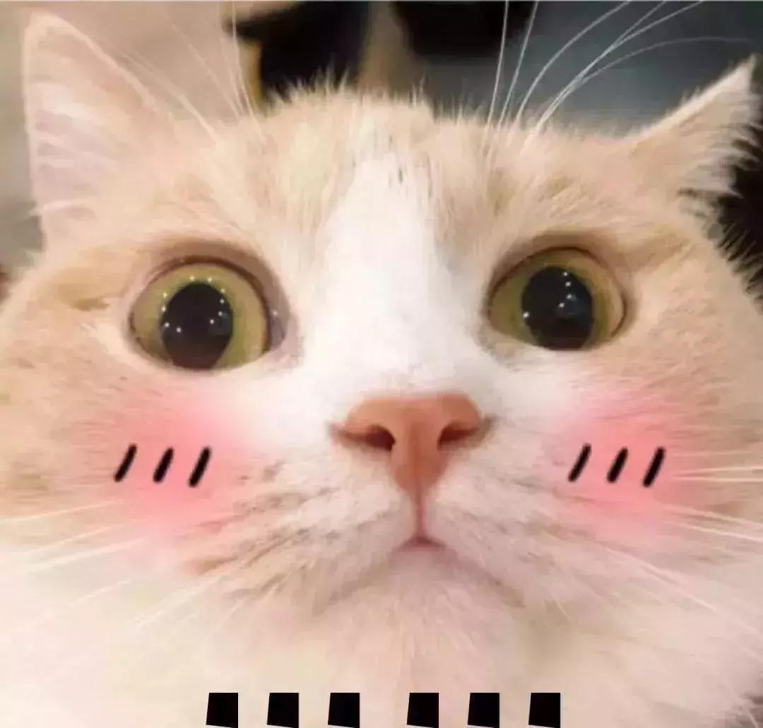 秋冬口红黄皮显白,最显白的秋冬口红好看到爆炸