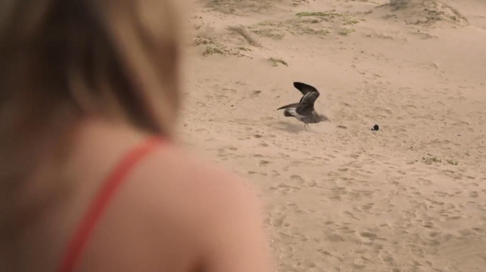 恐怖电影女子被怪物啃食,美国经典恐怖片变异的食人怪物