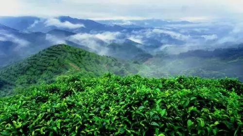 洛阳旅游景点特价门票,近期特价门票免费景点