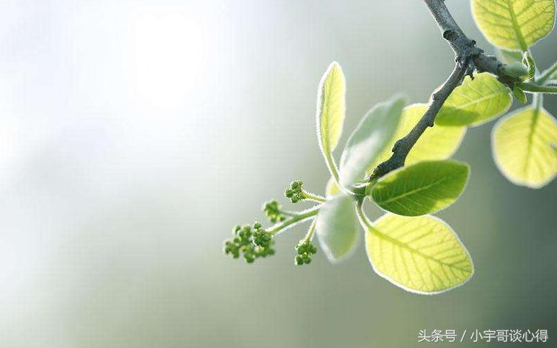 青春岁月里你“窃”过东西吗?往事不堪回首,我先自我揭发