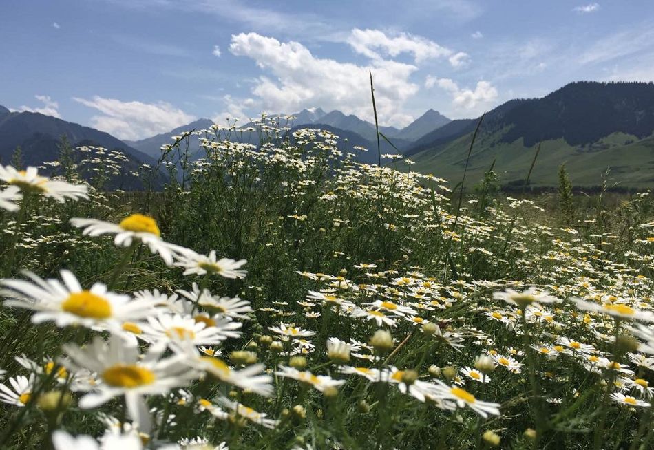 国内8个小众旅行地,十一小众冷门旅行地推荐