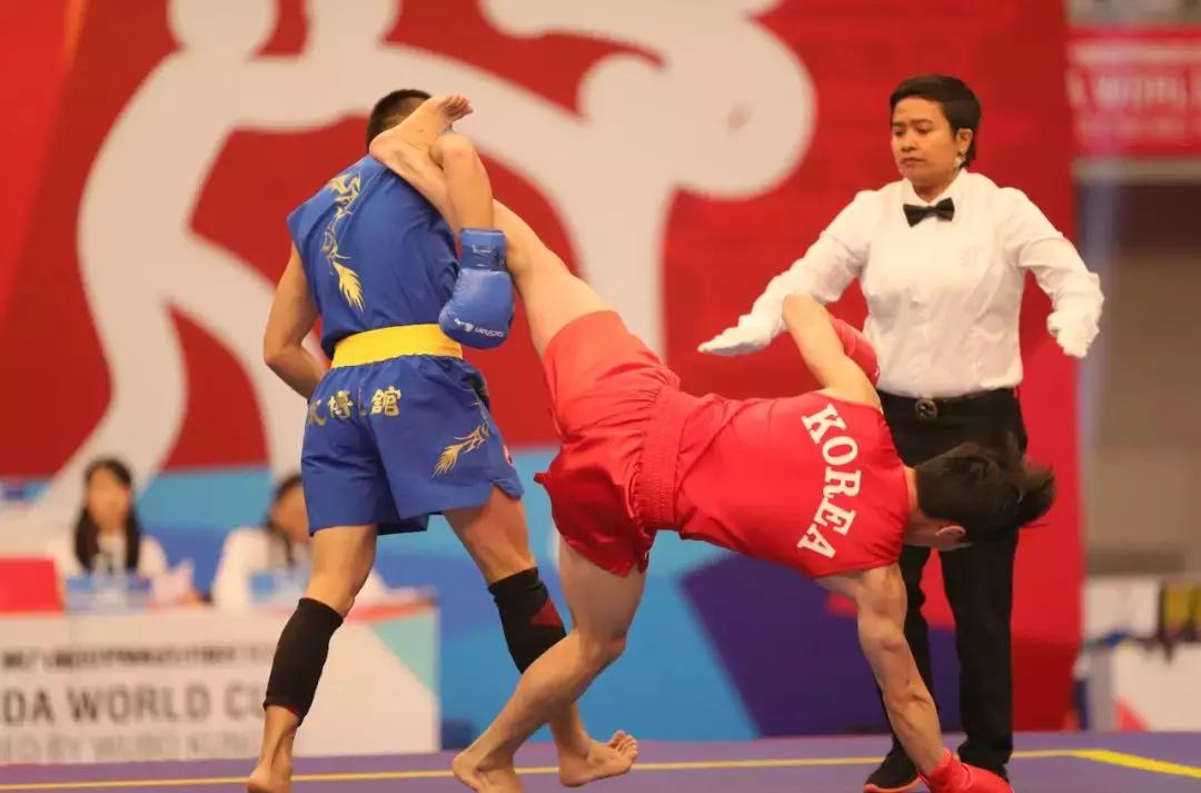 散打李康精彩镜头,李康散打个人简历