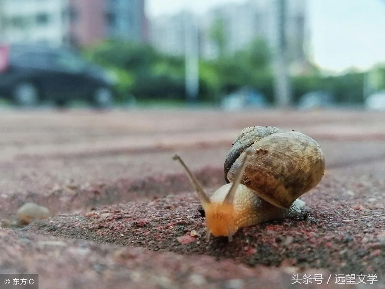 故事：阳光灿烂的日子