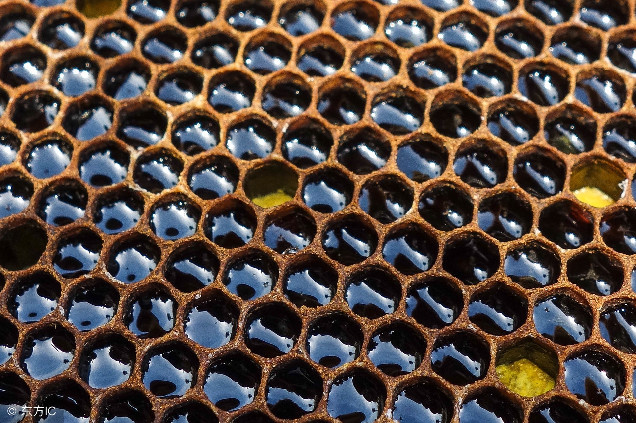 真蜂蜜掺假蜂蜜会怎样,真蜂蜜掺假蜂蜜