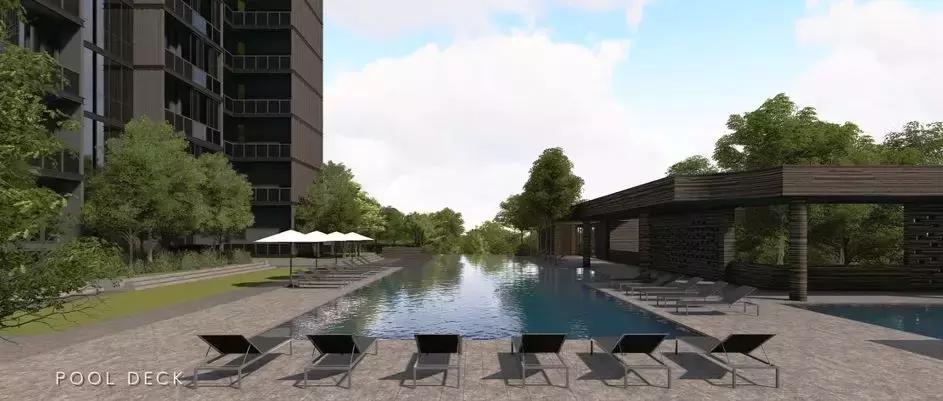 在全球最贵的钱,新加坡一个月多少钱才够生活