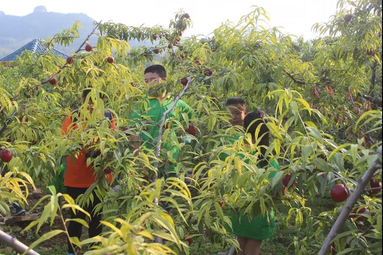 山东沂蒙山峡谷,沂蒙山区深山处