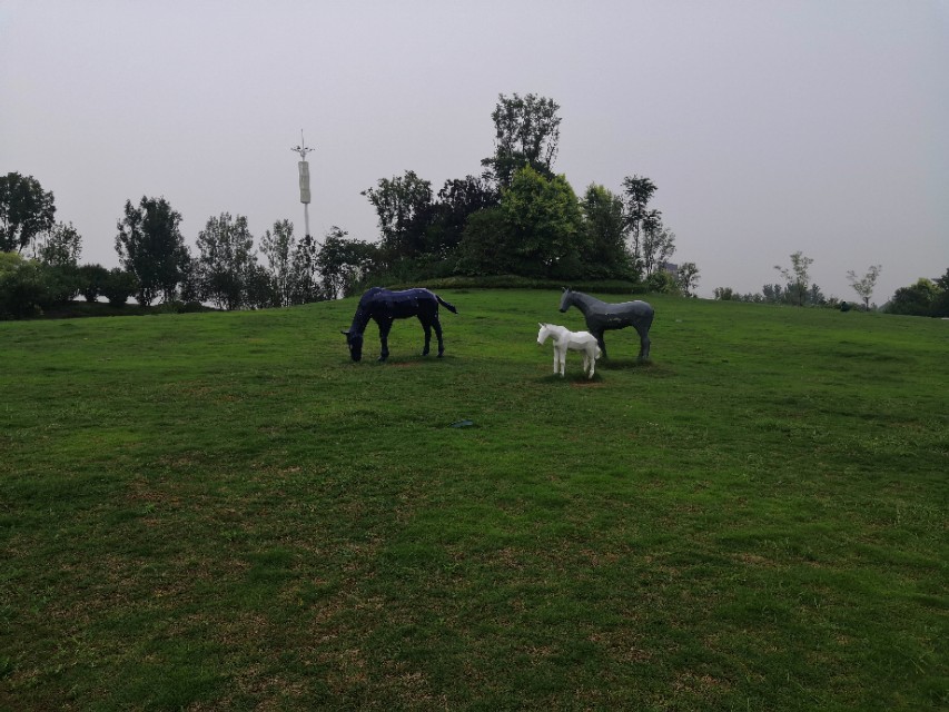 智慧城足球场夜场图片,智慧城足球场一圈多少米