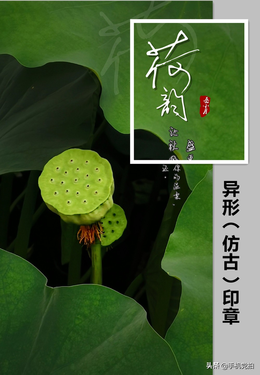 给照片加复古小印章,用美图制作印章