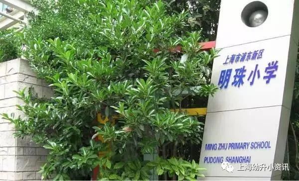 上海浦东第一高档学校,浦东最牛民办小学