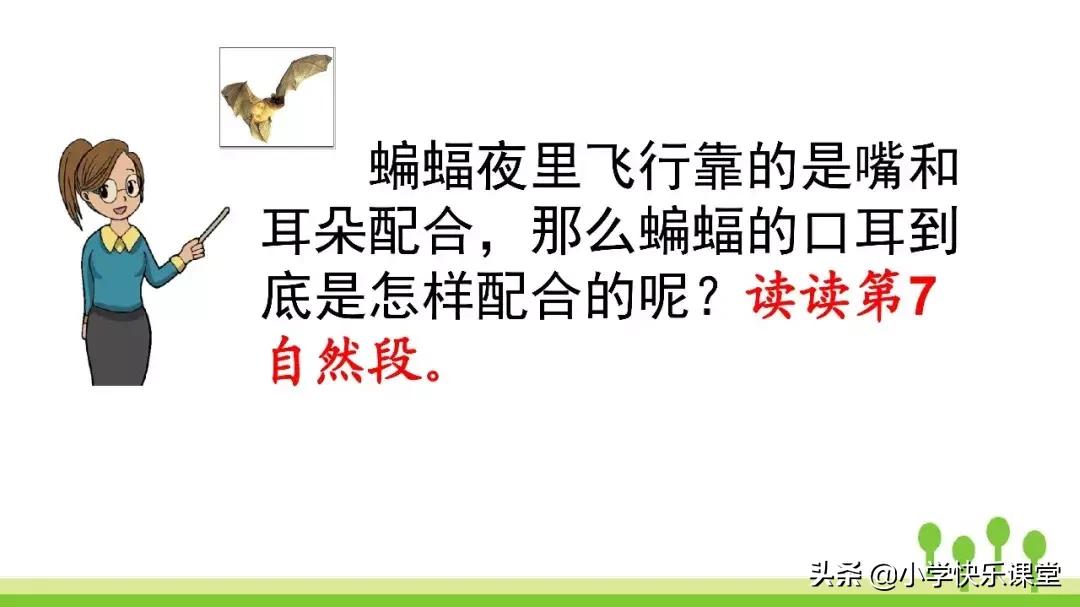 四年级上册语文蝙蝠和雷达课后题,部编版四年级上册语文蝙蝠和雷达