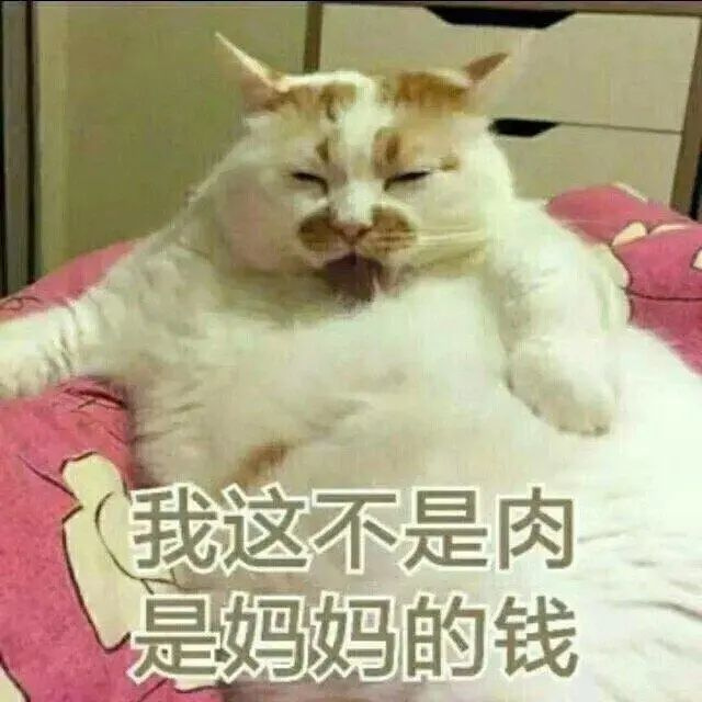 猫咪胀气和猫传腹有什么区别,猫咪肥胖还会有原始袋么