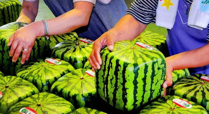 日本人都不曾在意的细节，11处日本的特有现象