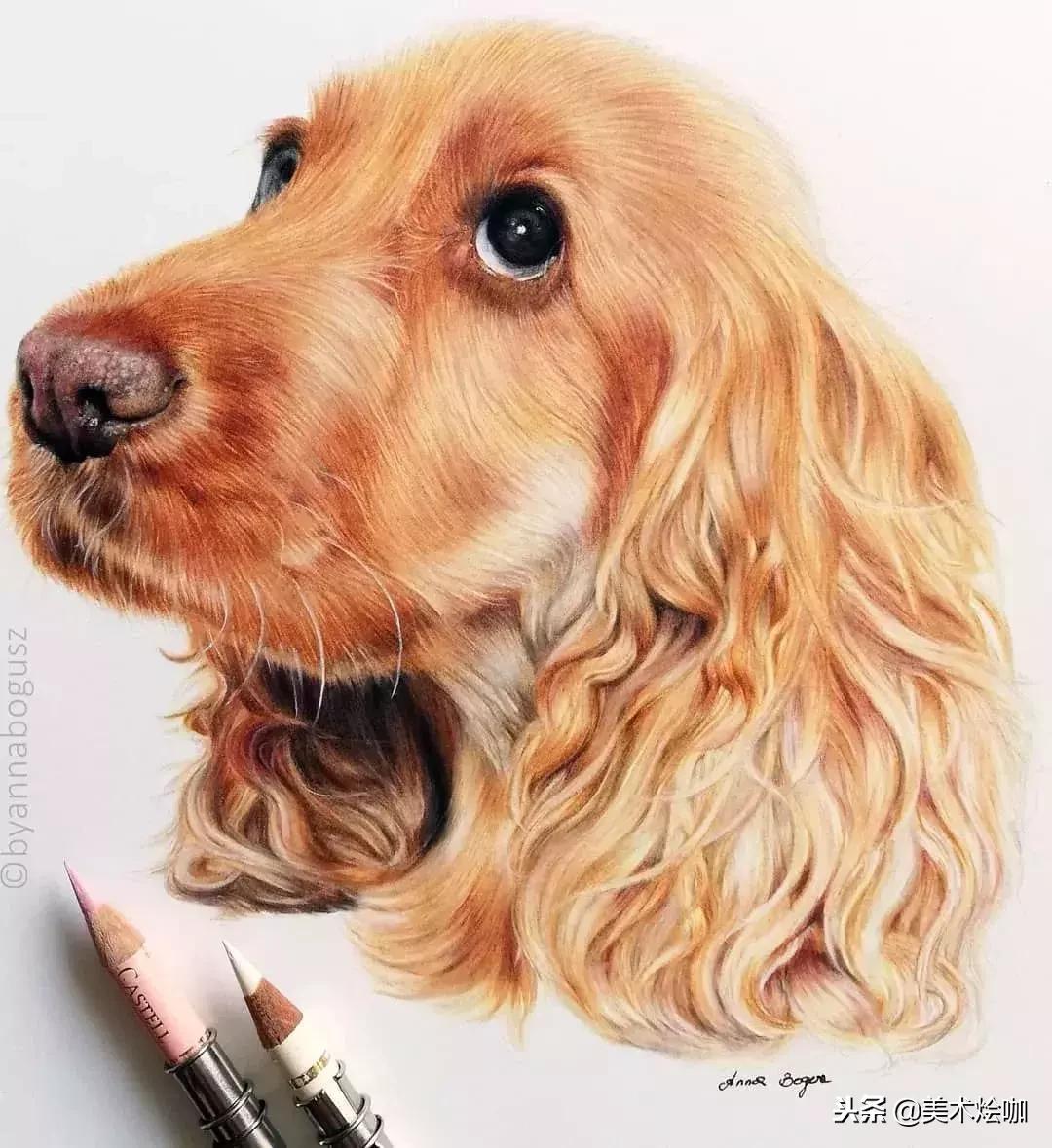 彩铅画教程超写实零基础入门,超写实彩铅画高清大图水果组合