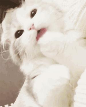 爱我，就给我舔屁股吧