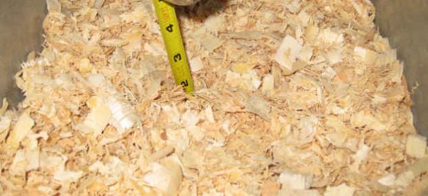 鹦鹉在多少温度下适应,气温零下鹦鹉怎么办