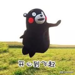 2021留学去哪个国家好,留学不用出国的学校好吗