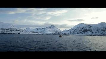 dha鱼油和鳕鱼肝油是一样的吗,鳕鱼肝油和深海鱼油区别在哪里