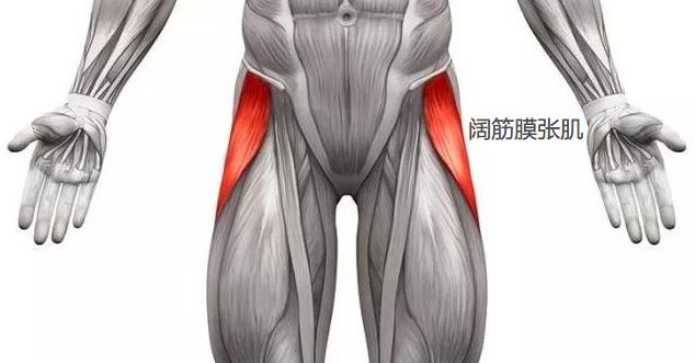 蜜桃臀可能是臀中肌最无聊的应用，还有3大功能，比美观更实用