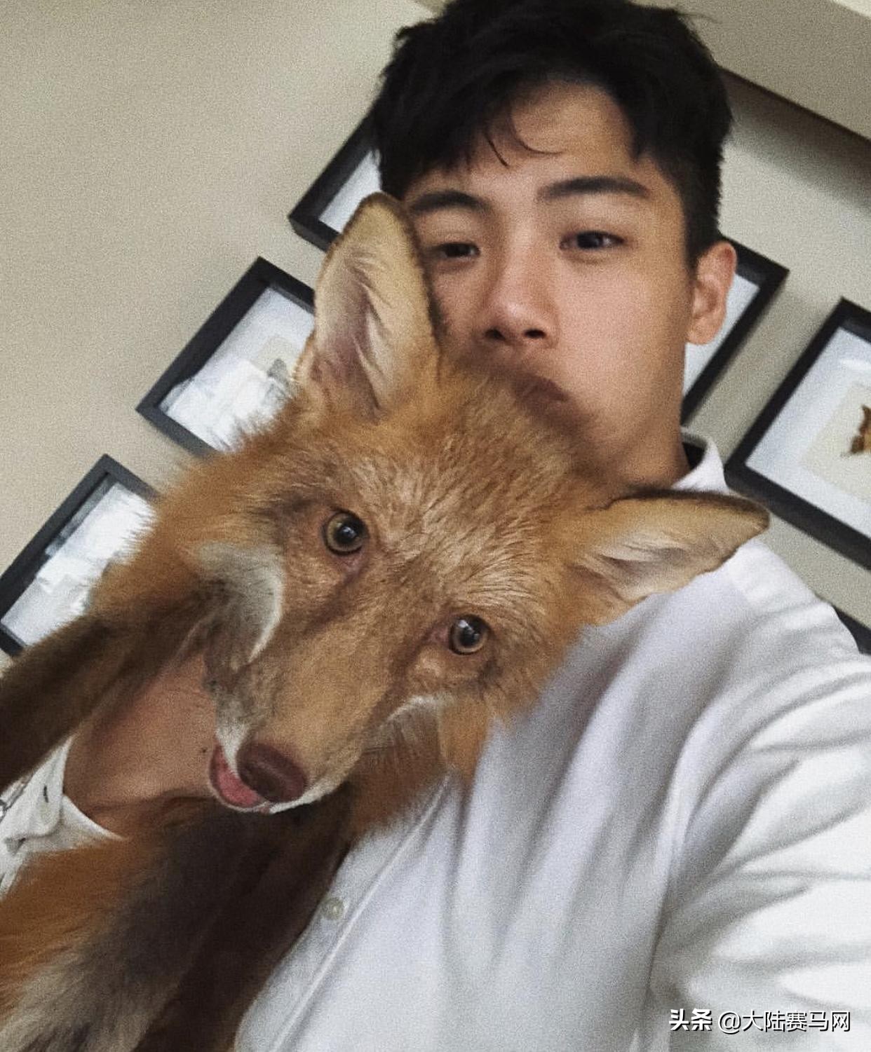 最帅马术王子,马术帅男