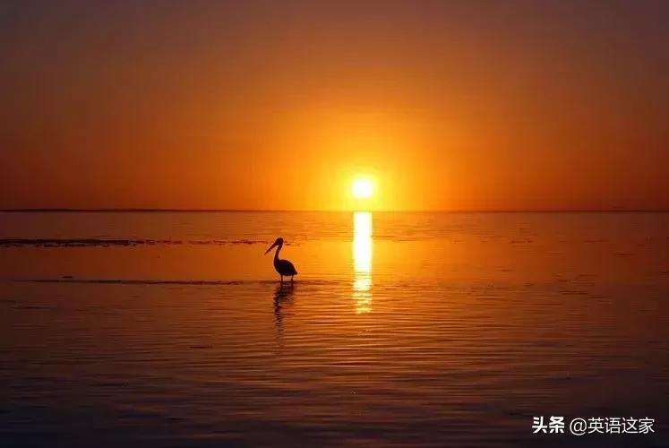 quick和rapid有什么区别,quick和fast的区别