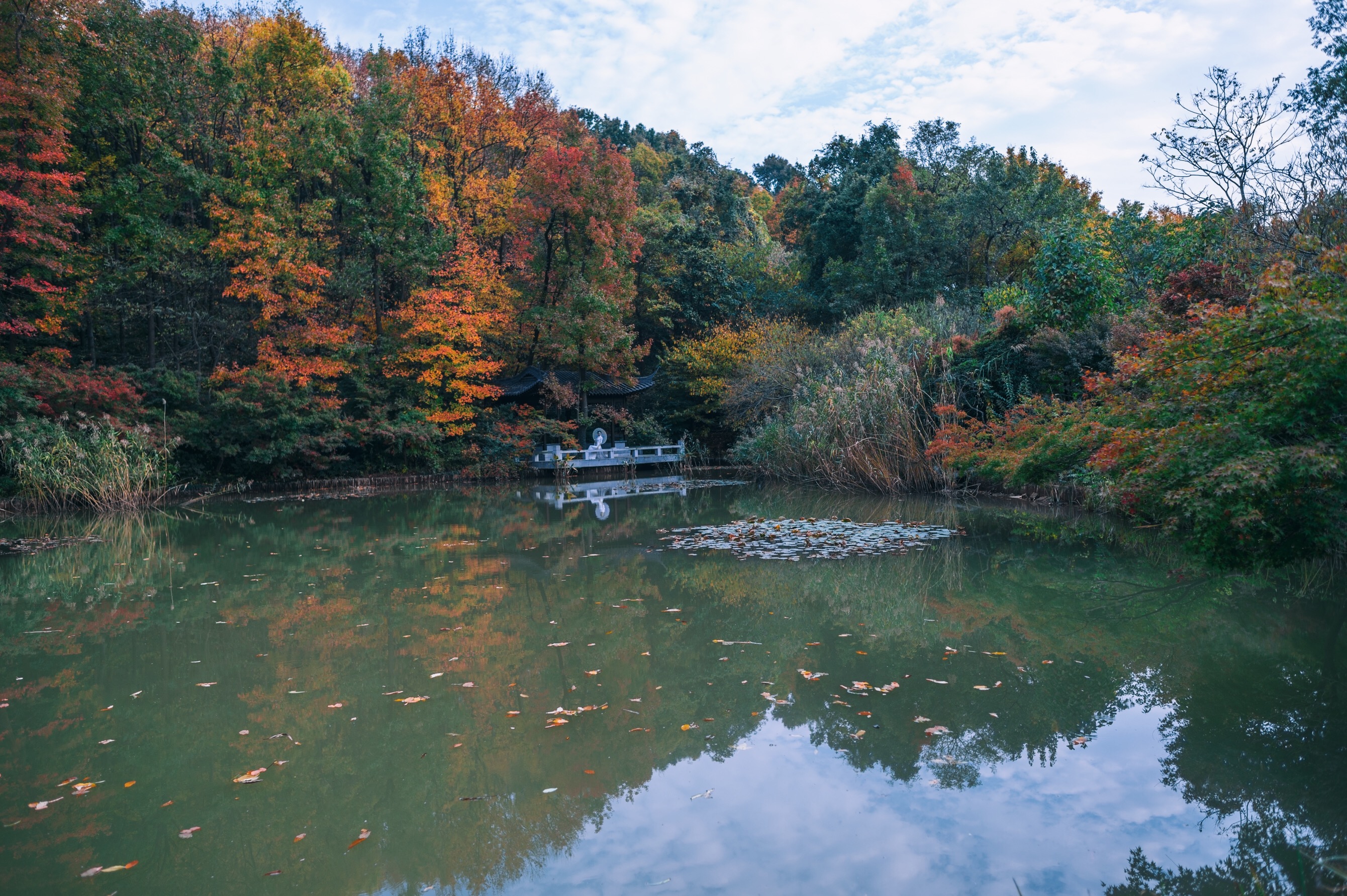 中国四大赏枫胜地南京栖霞山,南京栖霞山进入旅游赏枫季