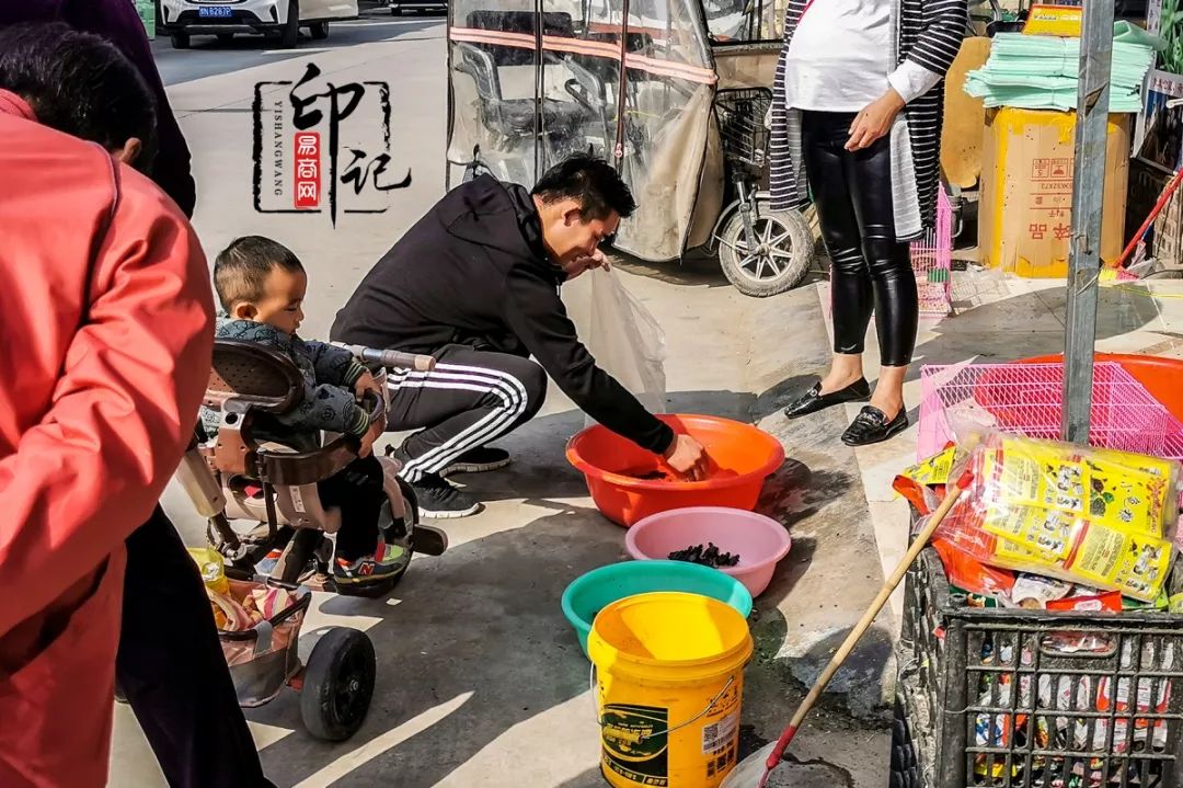 商丘道北花鸟批发市场,商丘花鸟宠物市场