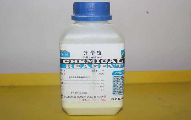 蜂螨对人有害吗？蜂螨药的种类及用法大全