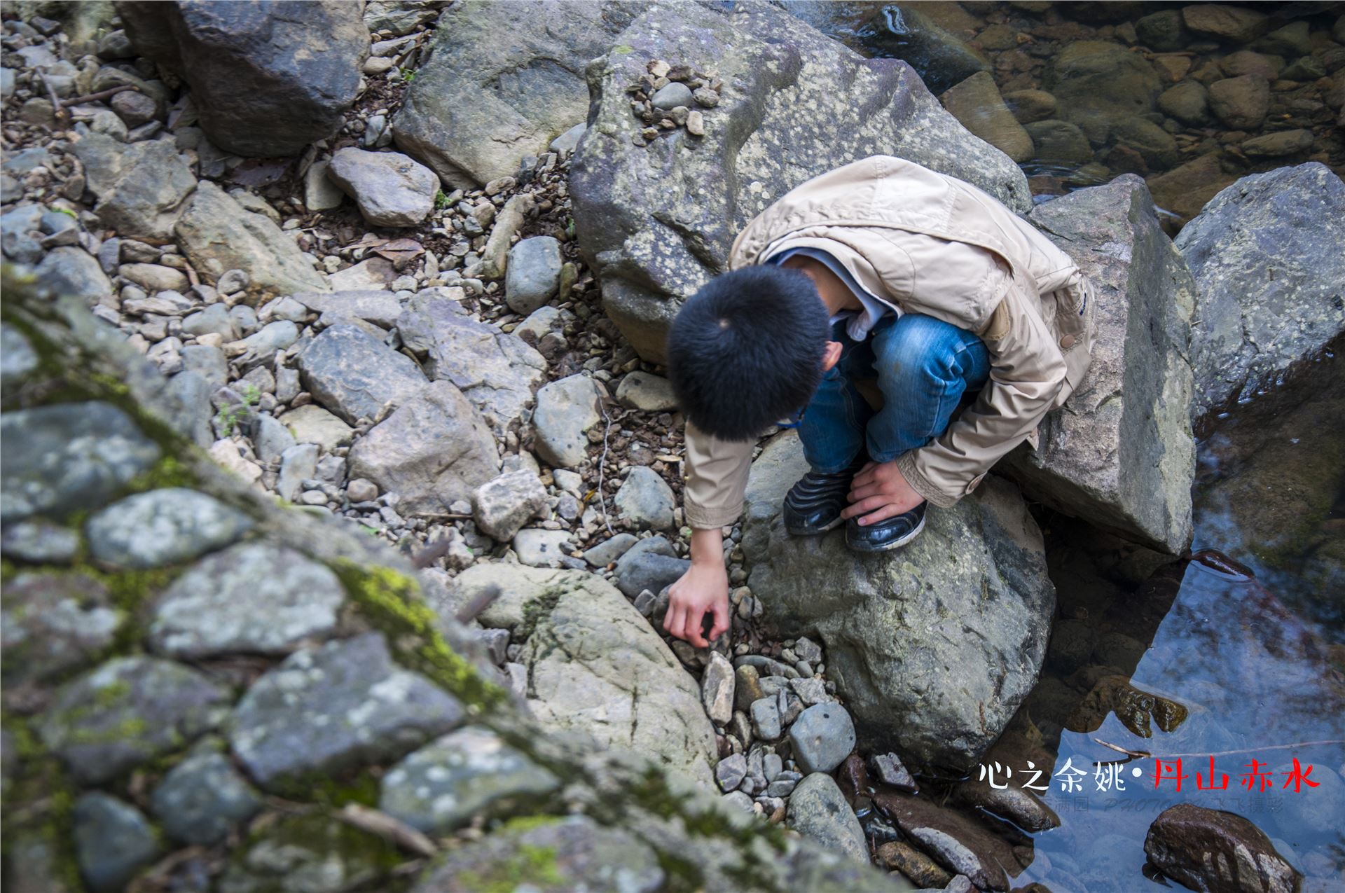 丹山赤水的老柿林景区,丹山赤水柿林古村